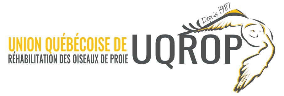 Logo UQROP